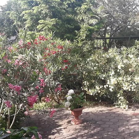 App Karmen With Privat Parking Apartamento Poreč