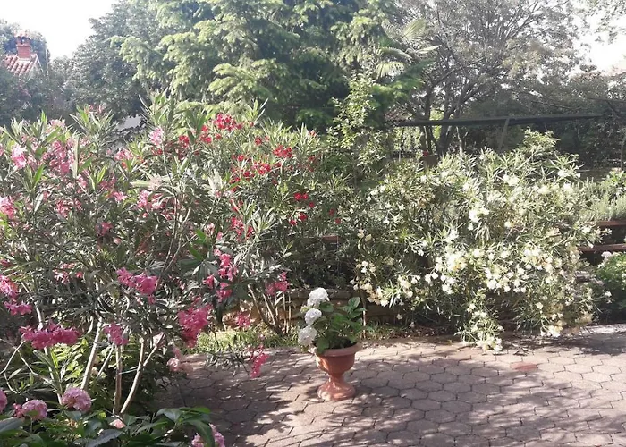 App Karmen With Privat Parking 아파트 포레치